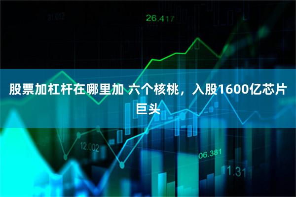 股票加杠杆在哪里加 六个核桃，入股1600亿芯片巨头